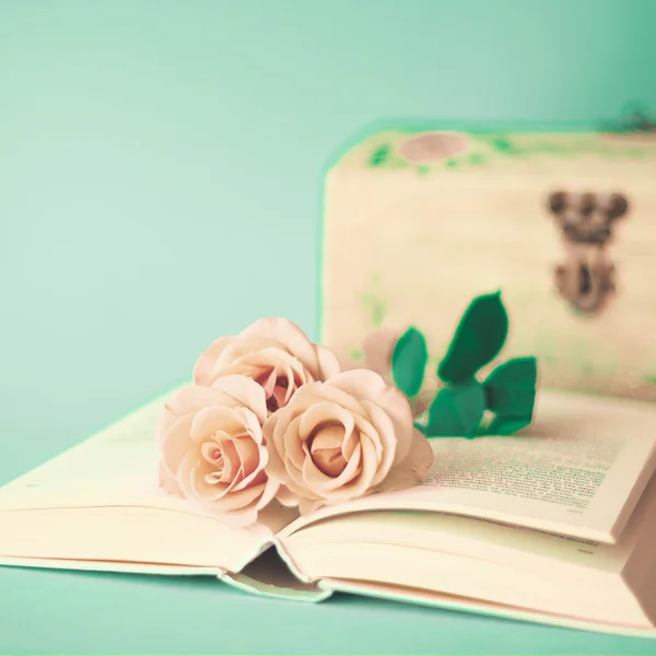 Rose Vintage sul libro — Foto Stock