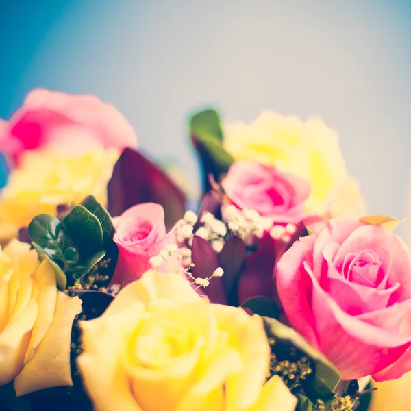 Yellow And Pink Roses — Stock Photo, Image