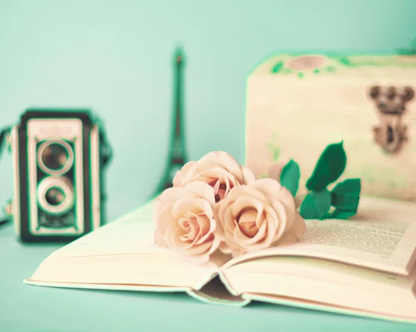 Rose Vintage sul libro — Foto Stock