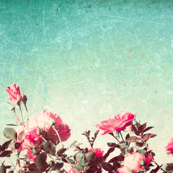Ruusut retro vihreä tausta — kuvapankkivalokuva