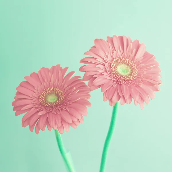 Retro bloemen — Stockfoto