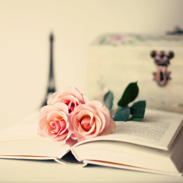 Vintage rozen op boek — Stockfoto