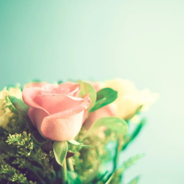 Růžové a bílé růže — Stock fotografie