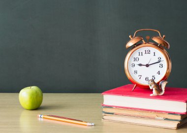 Okul konseptine dönüş