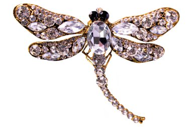 Beyaz arka planda yusufçuk mücevheri..