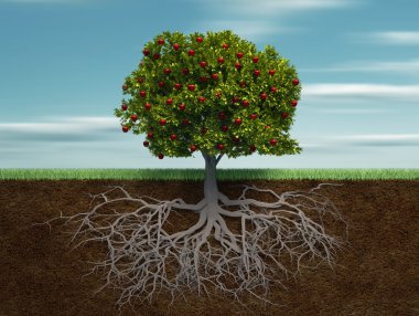 Conceptual tree with apple and root clipart
