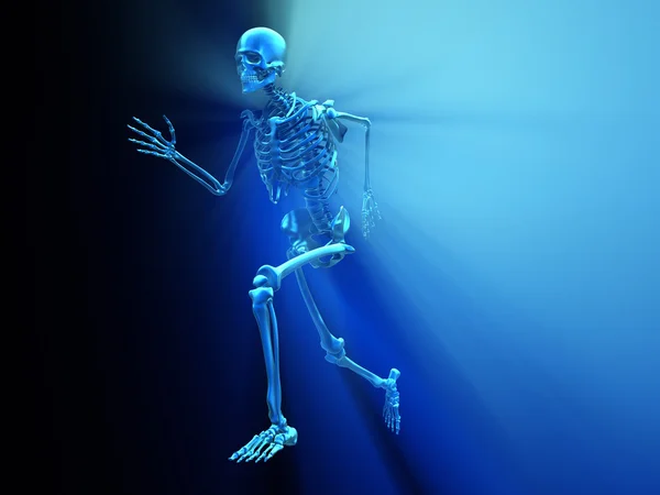 Skeleton uitvoeren — Stockfoto