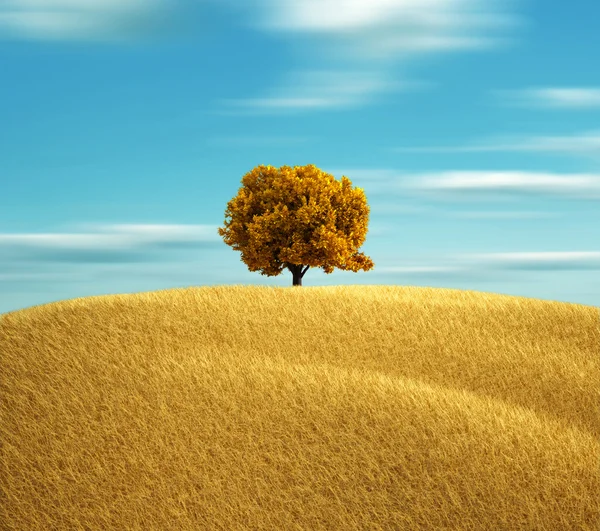 Золотое осеннее дерево в поле — стоковое фото
