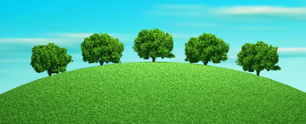 Green trees in field — Stock Photo, Image