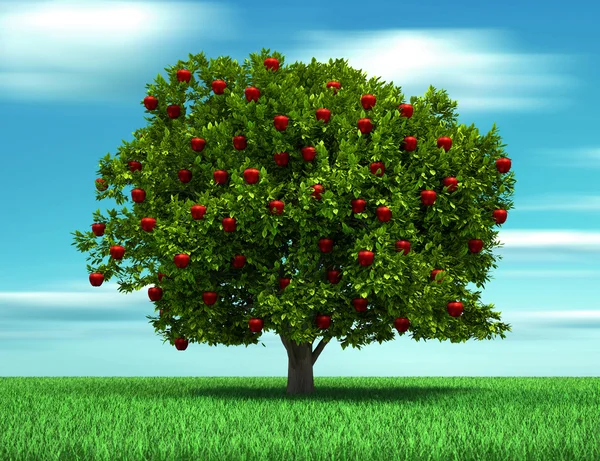 Tree with apple — Stock Photo, Image