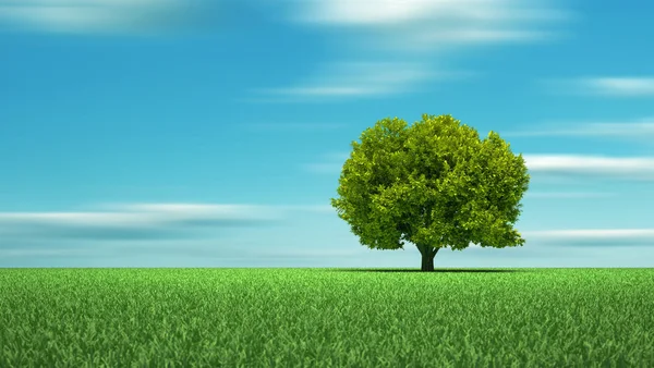 Árbol de hierba verde — Foto de Stock