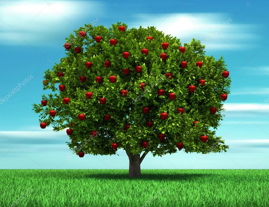 Tree with apple Stock Photo by ©orlaimagen 51362753