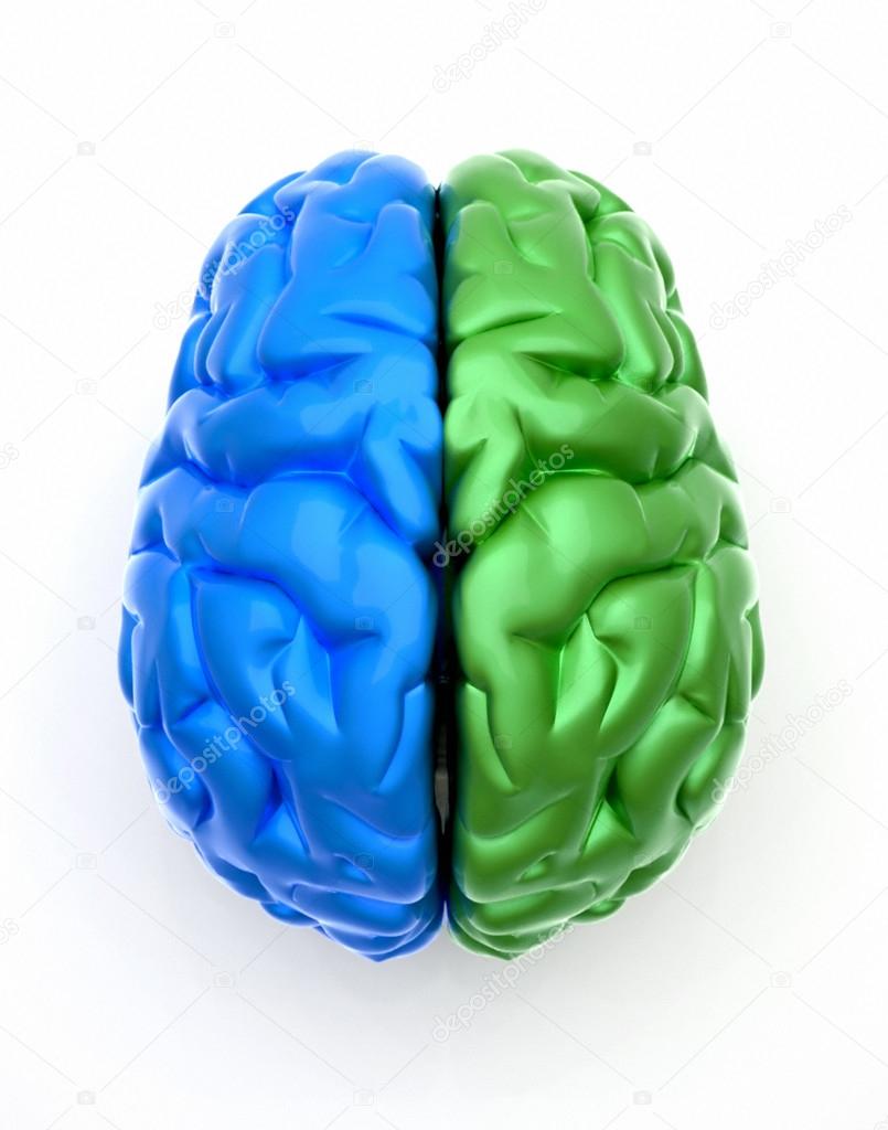 Blue end green brain