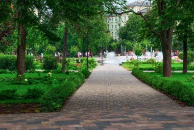 Yaz şehir manzarası, yeşil alanlar ve ağaçlarla dolu park, patika ve pınarlarla dolu meydan