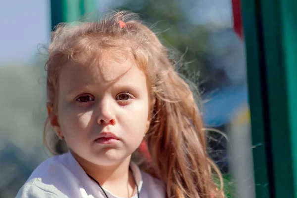 長い茶色の髪と大きな茶色の目をした可愛い女の子4歳子供の肖像画 — ストック写真