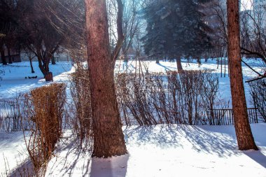 Aralık, avlu karla kaplı, kış güneşli şehir manzarası