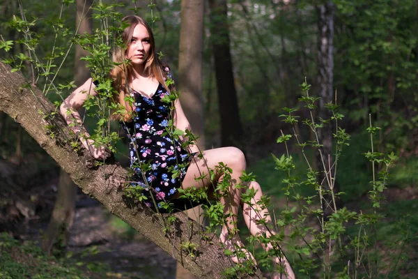 Portrét Lese Sedí Stromě Krásná Romantická Evropská Dívka Let Dlouhými — Stock fotografie