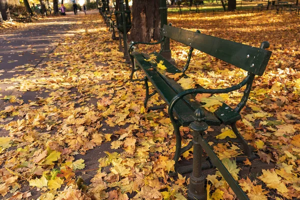 Jesienny Krajobraz Parku Ścieżka Rozrzucona Żółtymi Liśćmi Ławka — Zdjęcie stockowe