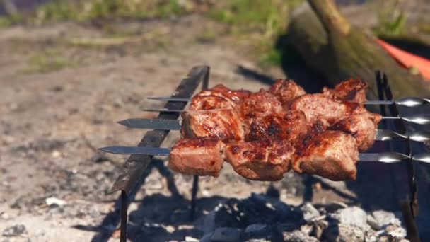 Grill season outdoor in park. Spring summer grilling. — Stock Video