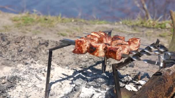 Сезон гриля на відкритому повітрі в парку. Весняний літній гриль . — стокове відео