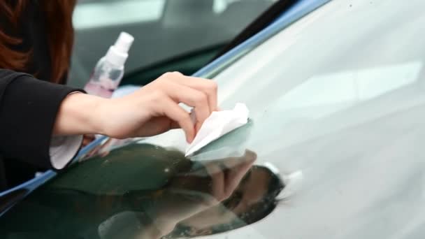 Ragazza spruzzando detergente per la pulizia e pulire il finestrino dell'auto. — Video Stock