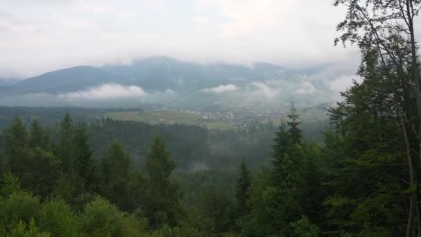 Pohled z kopce s lesní loukou na městečku a mlhou v údolí — Stock video