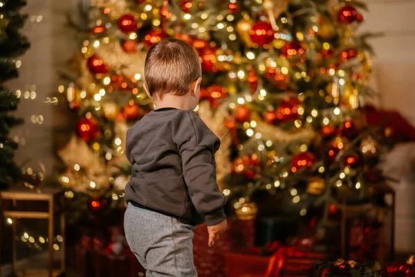 Kleiner Junge spielt am Weihnachtsbaum — Stockfoto