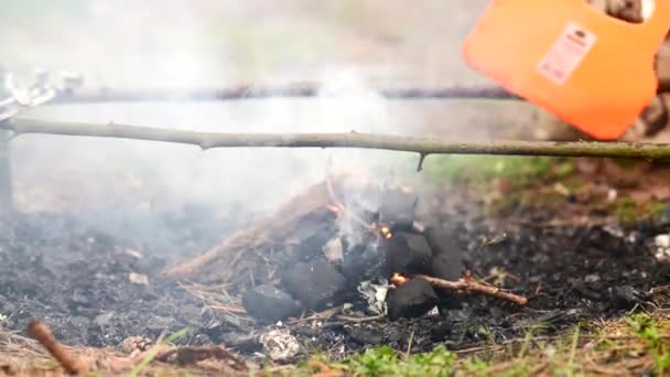 森の中で火を起こす男 — ストック動画