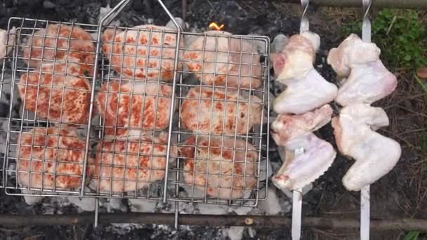 Grill season outdoor in park. Spring summer grilling. — Stock Video