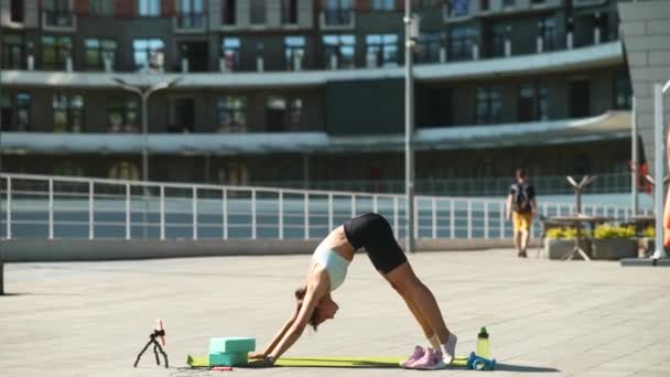 Женщина Спортивной Одежде Делает Упражнения Открытом Воздухе — стоковое видео