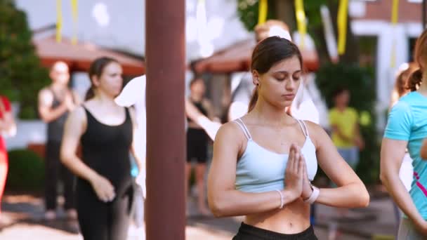 Woman Does Yoga Together Her Group Open Air Healthy Lifestyle — Stock video