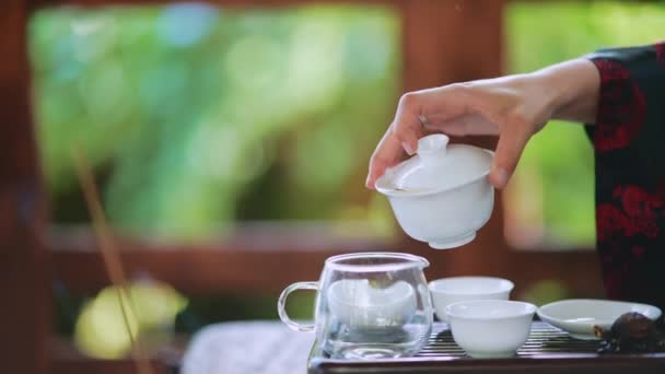 Process Brewing Tea Woman Steeping Herbal Tea Enjoying Slow Afternoon — Video