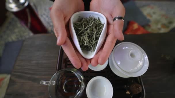 Young Woman Holding Small Bowl Green Herbal Tea Close View — Video Stock