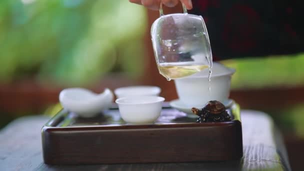 Process Brewing Tea Woman Steeping Herbal Tea Enjoying Slow Afternoon — Video