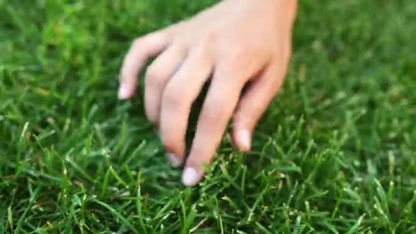 Woman Touching Fresh Grass Green Lawn — Vídeo de Stock