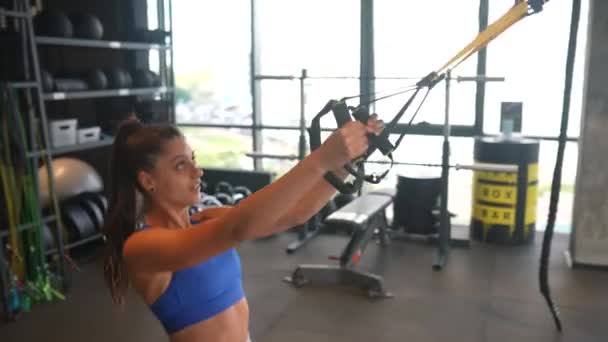 Mladá Atletická Žena Dokonalým Tělem Sportovním Oblečení Dělá Cvičení Trx — Stock video