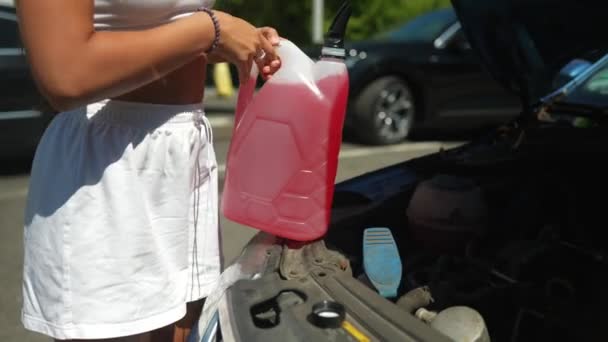 自動車の画面に凍結防止を注ぐ女性は車に液体を洗う — ストック動画