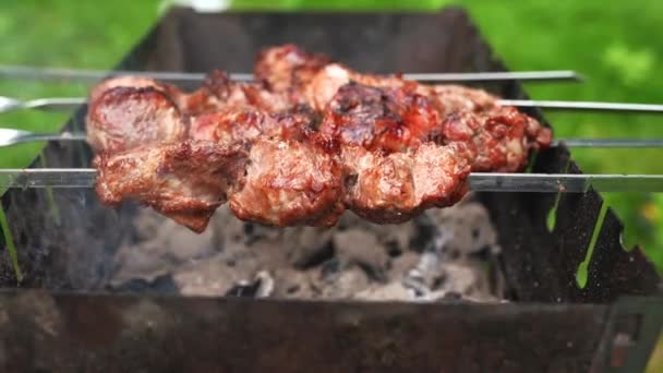 Carne Carbone Shish Kebab Grill Fumo — Video Stock