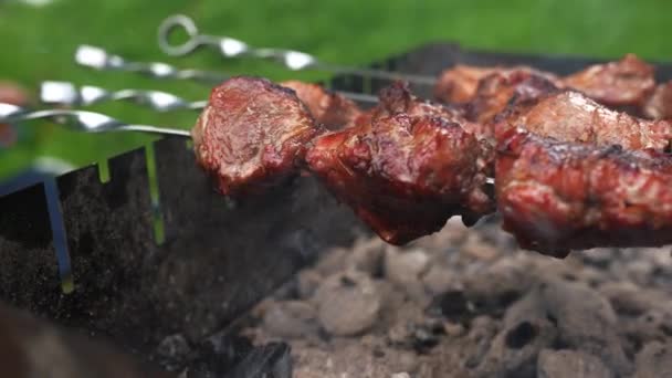 Carne Carbone Shish Kebab Grill Fumo — Video Stock