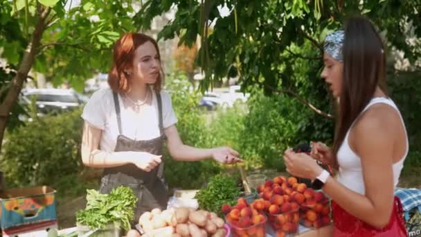 Seller Woman Offers Fresh Organic Vegetables Farmers Market Young Buyer — Stockvideo