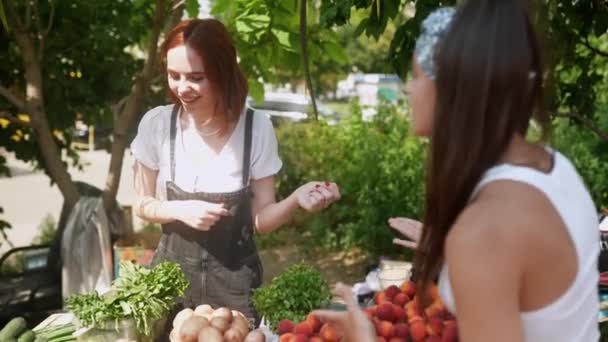Seller Woman Offers Fresh Organic Vegetables Farmers Market Young Buyer — ストック動画