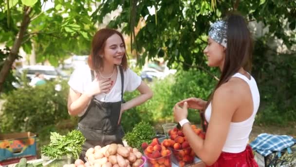 Seller Woman Offers Fresh Organic Vegetables Farmers Market Young Buyer — Αρχείο Βίντεο