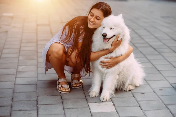 Μια Νεαρή Γυναίκα Αγκαλιάζει Ένα Μεγάλο Σκυλί Στο Ηλιοβασίλεμα Καλοκαίρι — Φωτογραφία Αρχείου