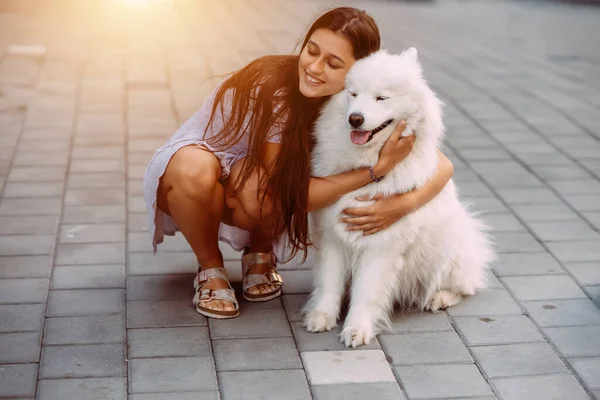 Uma Jovem Abraça Cachorro Grande Pôr Sol Verão — Fotografia de Stock