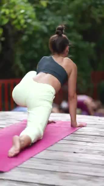 Een Jonge Vrouwelijke Yoga Leraar Geeft Een Les Buiten Ochtend — Stockvideo