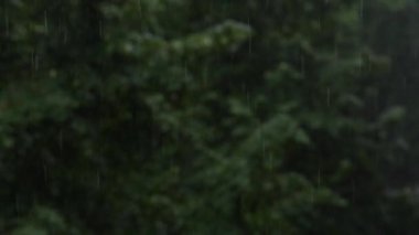 Yağmurlu bir bahar gününde pencereden bak.