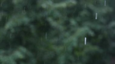 Yağmurlu bir bahar gününde pencereden bak.