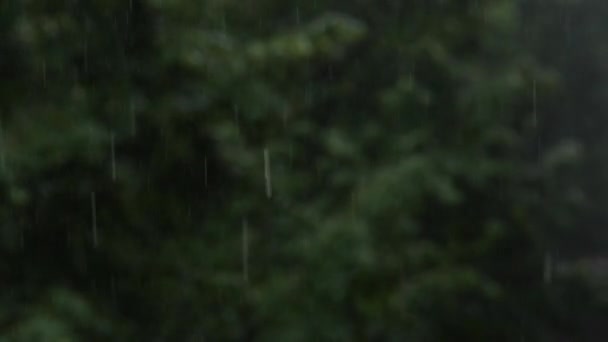 Zicht Door Het Raam Een Regenachtige Lentedag — Stockvideo