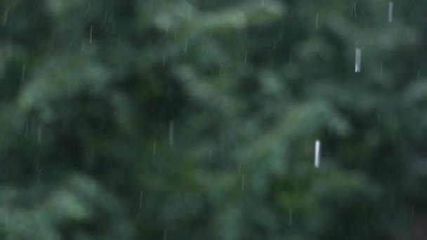 Yağmurlu Bir Bahar Gününde Pencereden Bak — Stok video