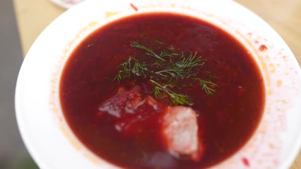 Bowl Beetroot Soup Borscht — стоковое видео